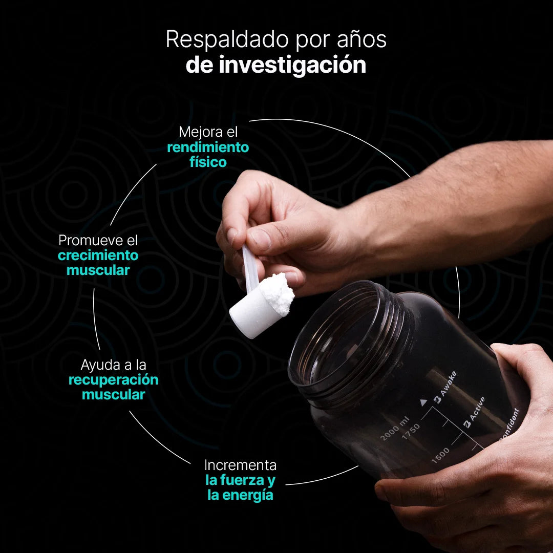 Creatine Monohydrate Powder | Creatina Monohidratada en Polvo