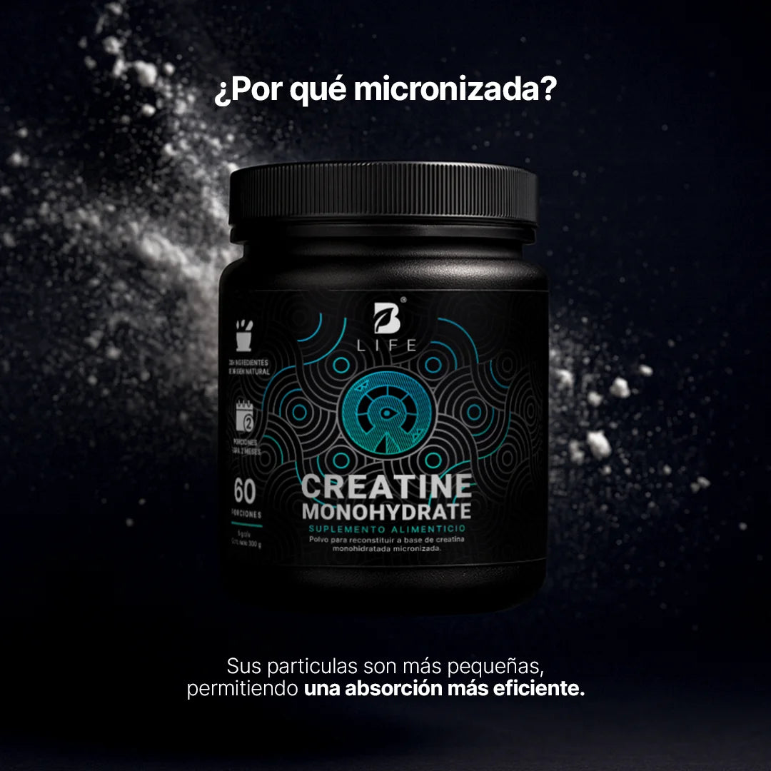 Creatine Monohydrate Powder | Creatina Monohidratada en Polvo