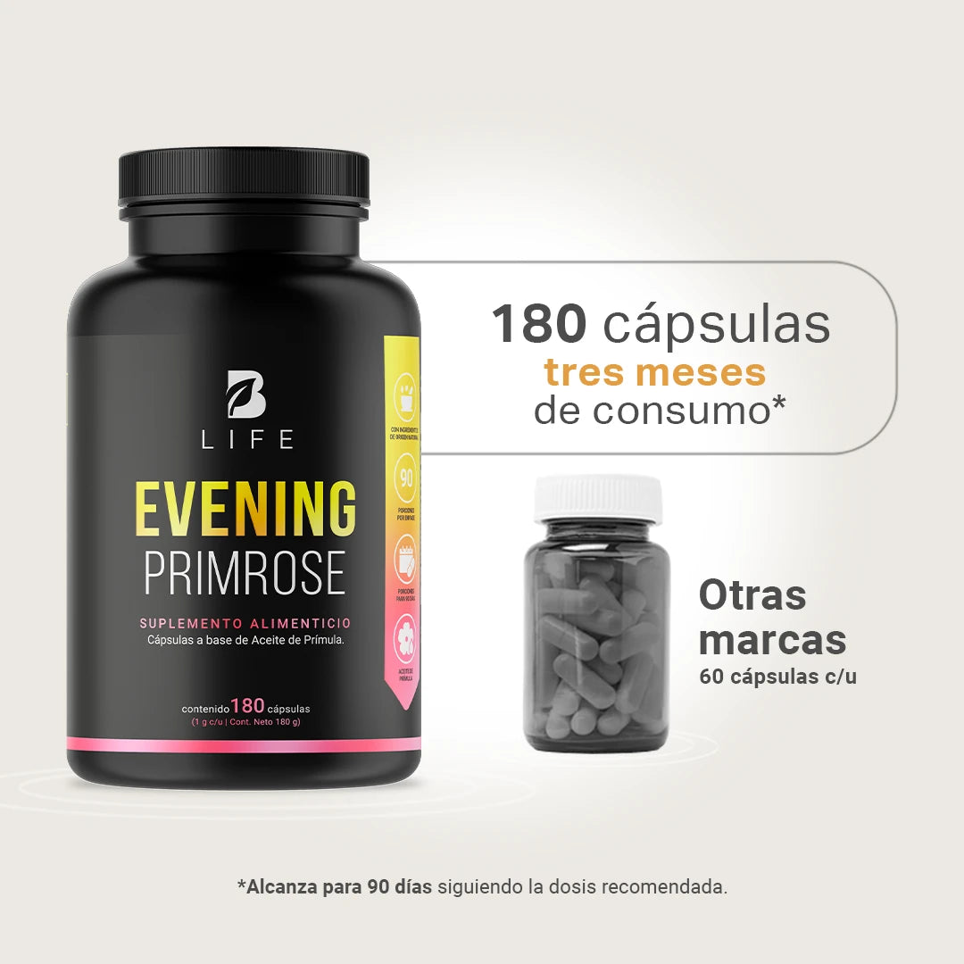 Evening Primrose | Aceite de Prímula (Onagra)